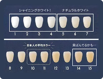 歯の色早見表